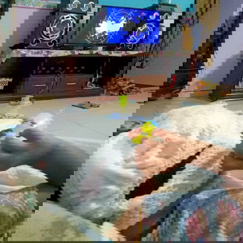 Anak pertama saya..no2 blom kluar...hihihihi......