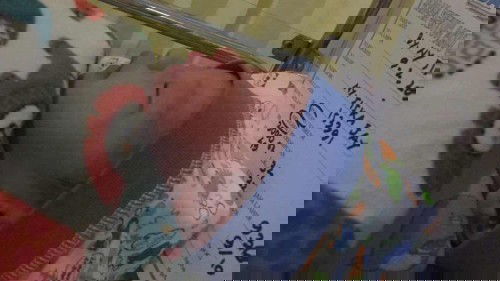 Alhmdllh louncing jagoan...