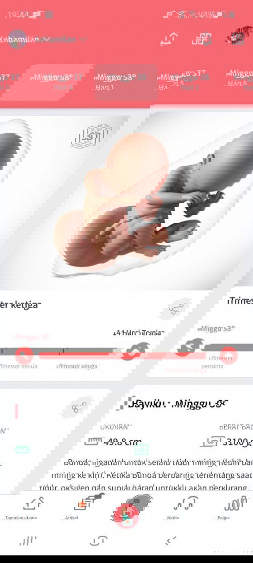 Hpl 2 minggu lagi prediksi bidan 1 minggu lagi