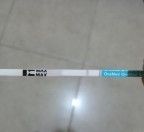 Telat 1 minggu