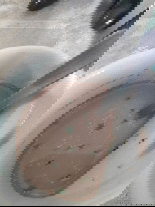 Malungay Powder
Posted-Feb 10, 2021