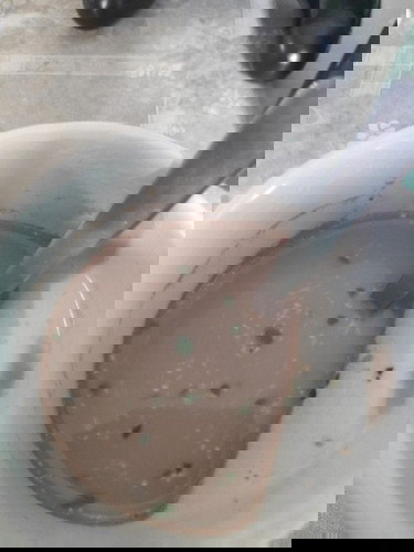 Malungay Powder
Posted-Feb 10, 2021