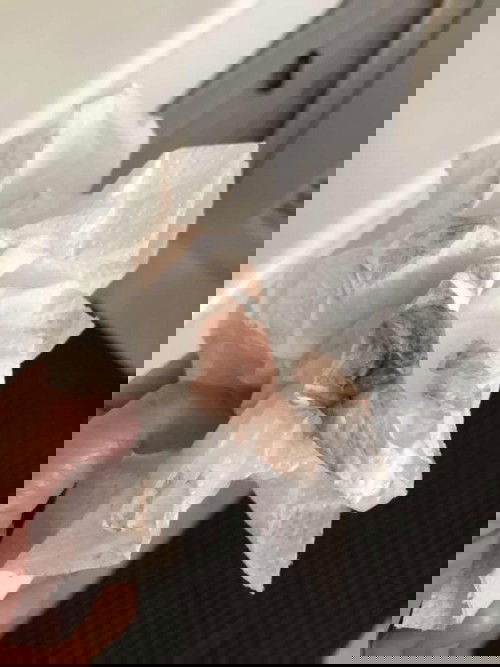 เลือดออก 9 อาทิตย์