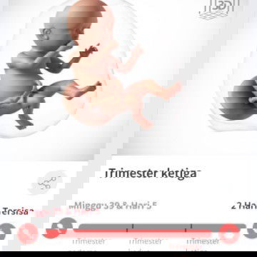 Mohon doanya perut terasa sakit kencang