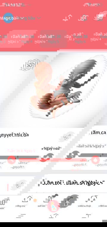 Xin vía chuyển dạ