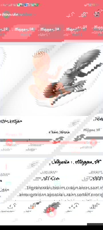 HPL UDH DEKET,,, SMG DIPERCEPAT AMIN