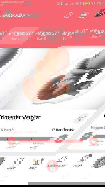 Bismillahirohmannirohim