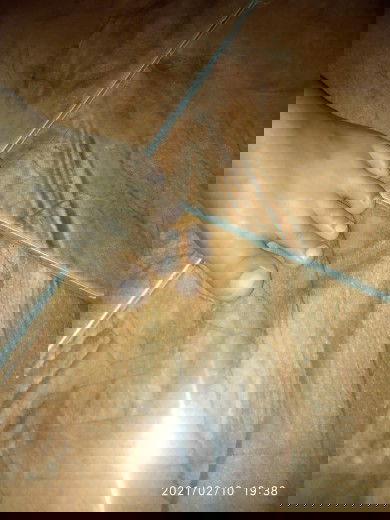 Ketuban atau keputihan?