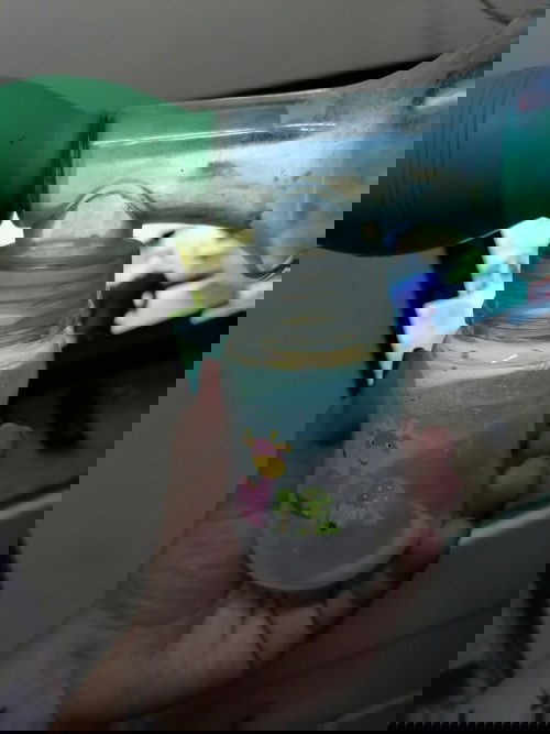 Hello mom's first time mom here 👋