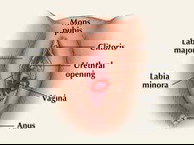 koyakan terbelah vagina