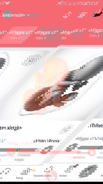 Menunggu gelombang cinta ❤