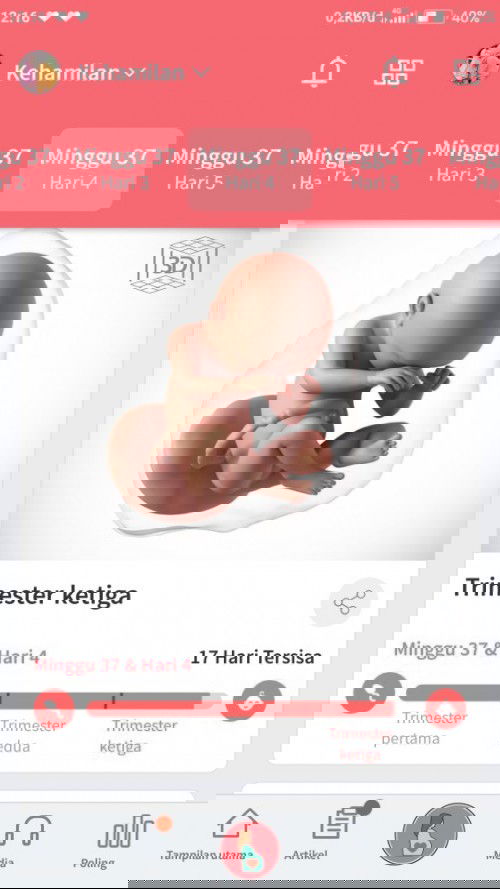 Menanti gelombang cinta