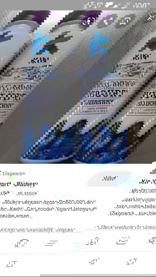 YOGURT KIN BULGARIAN