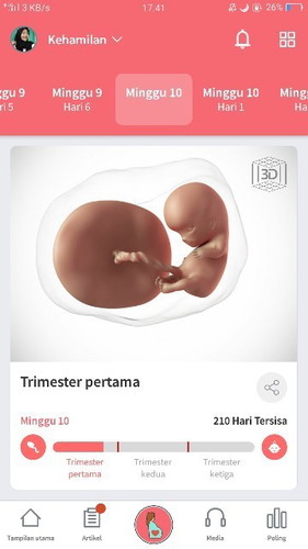 sikecil mungil impianku