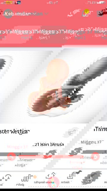 Gelombang cinta debay