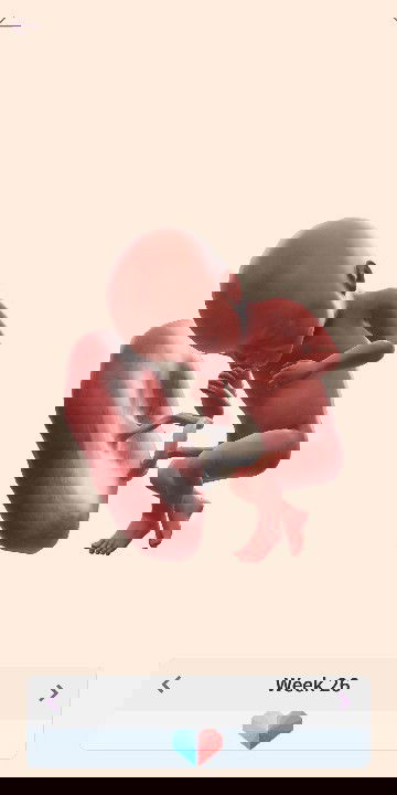 Kebahagiaan yang didambakan