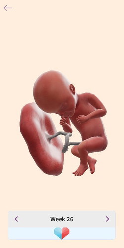 Kebahagiaan yang didambakan