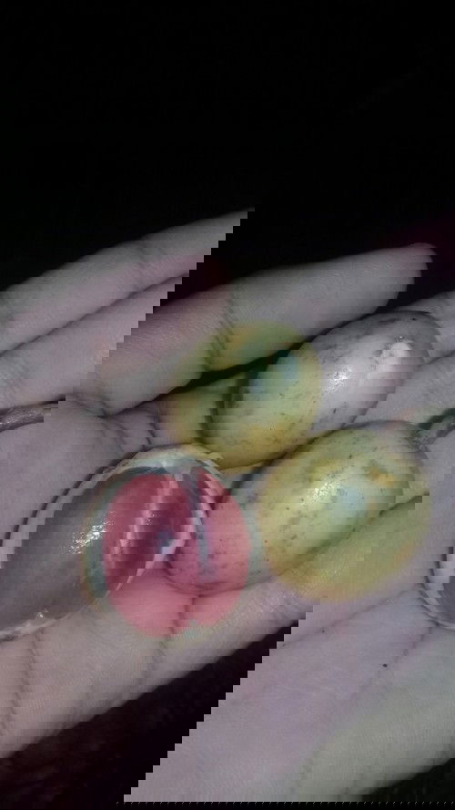 Buah untuk ibu hamil