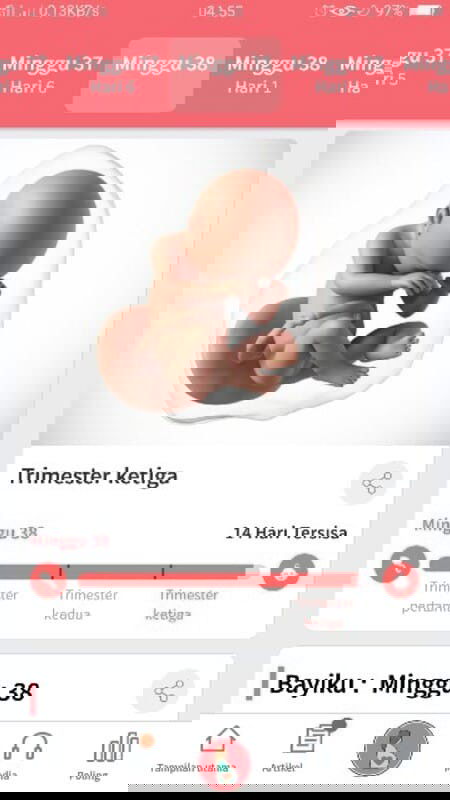Gelombang cinta februari maret.
