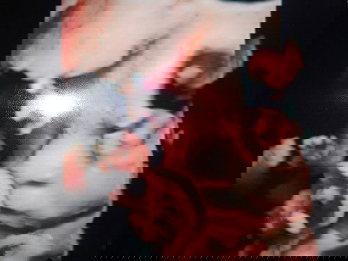 bismillah hpl 5 april