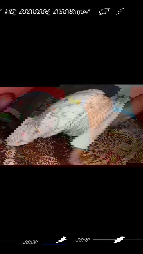 TUMBUH GIGI + BELAJAR MERANGKAK