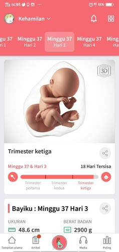 Seputar kehamilan.