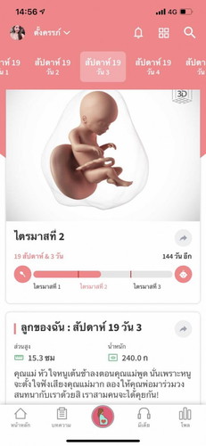 อยากทราบว่า 19สัปดาห์ จะนับว่าท้องกี่เดือนค่ะ