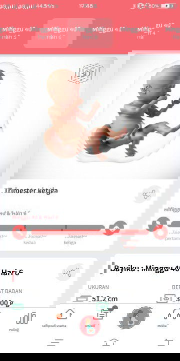 pengen seperti ibu pada umumnya