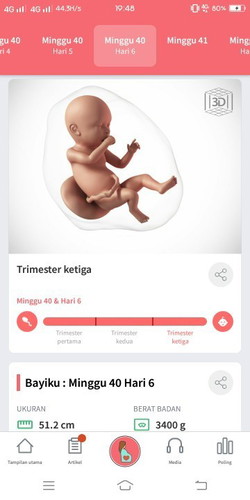 pengen seperti ibu pada umumnya