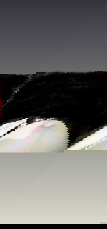 Bentuk perut hamil 3 bulan udah bisa ketebak jk janin belum?