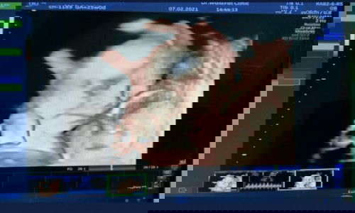 หนูมาส่งยิ้มหวานๆให้จ้า