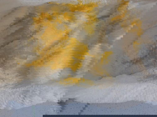 น้องถ่ายเป็นมูกแบบนี้เป็นอะไรไหมค่ะ