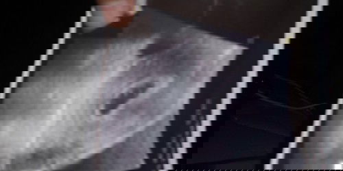 6 week usia kandungan