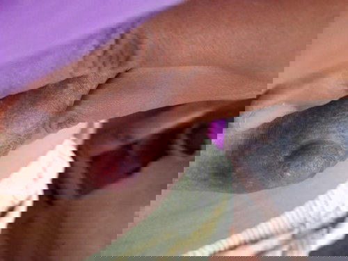 ขอคำแนะนำหน่อยค่ะ