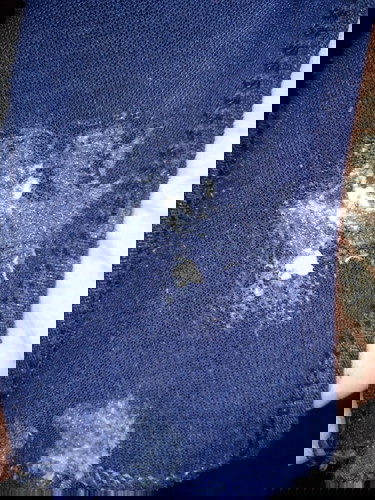 38+3 w เป็นแบบนี้ต้องไปหาหมอไหมคะ