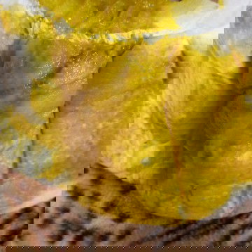 Maaf agak jorok pup bayi saya usia 3bulan