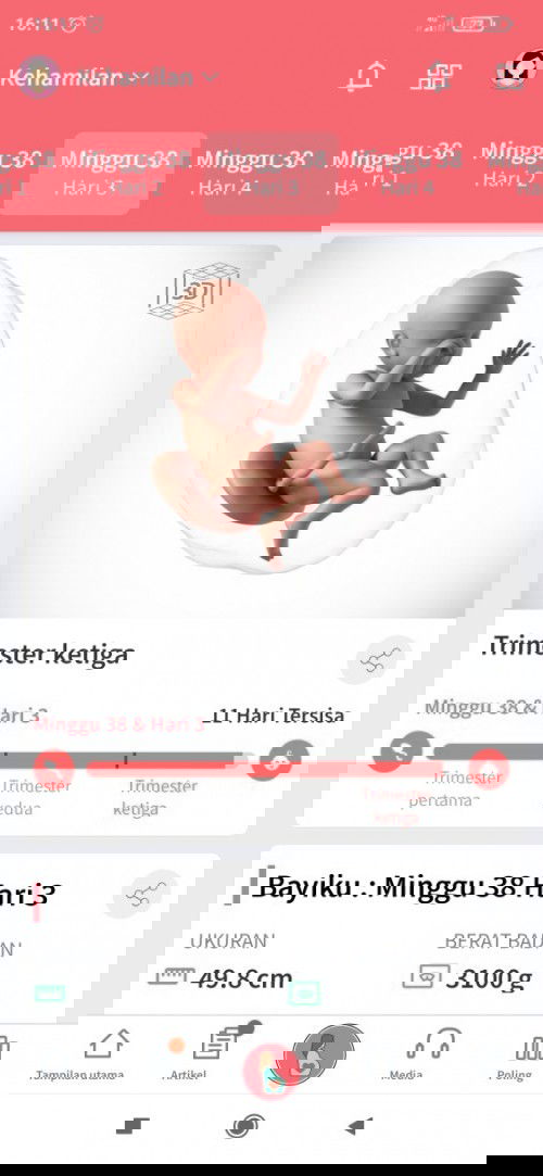 Hpl 25 Februari sp yg samaan??