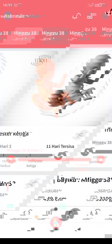 Hpl 25 Februari sp yg samaan??