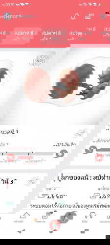 ยุติการตั้งครรภ์