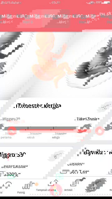 Nunggu gelombang cinta