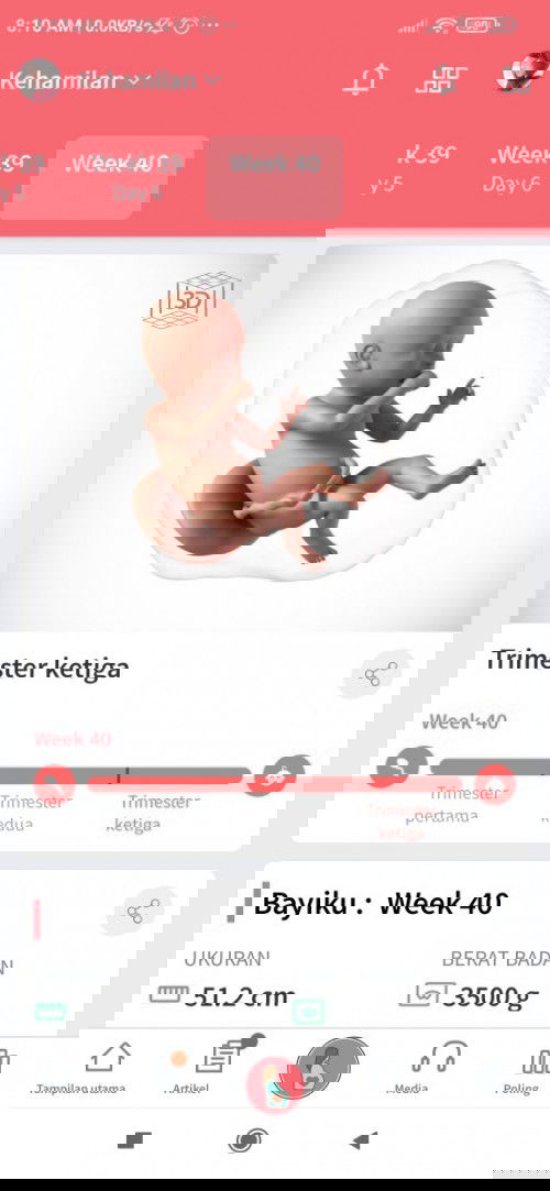 Sudah masuk HPL tapi belum ada tanda dari si dede