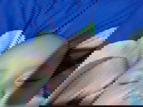 Bentuk kepala anak 4,5 bulan