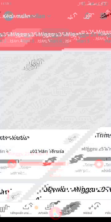 Bun mau tanya ko ga Ada gambar Bayi nya yah. Punya saya mah.. Punya bunda kaya gini engga?