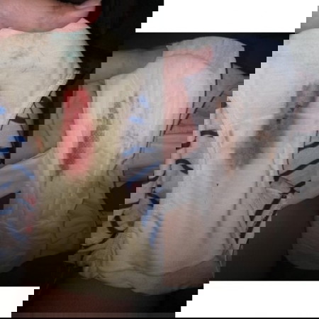 magalalabor naba to?