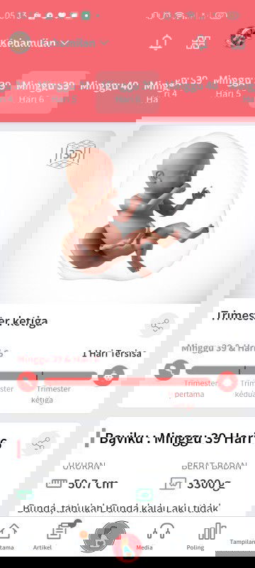 Hpl Sudah didepan mata tapi di kecil belum mau keluar ?