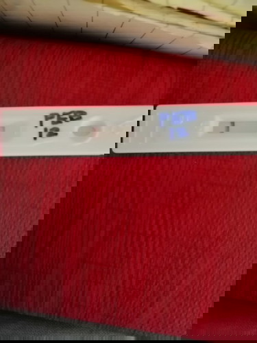 Pregnancy Test