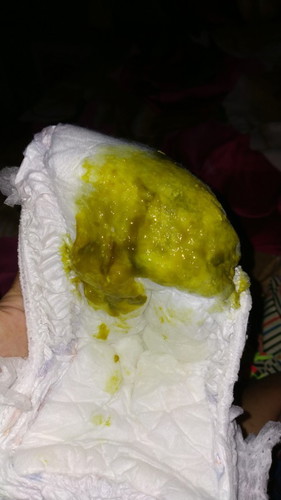 Pup bayi 5 bulan warna hijau berlendir