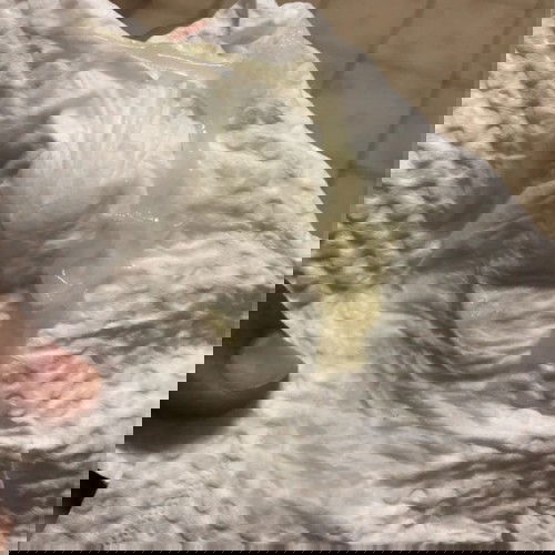 ตกขาวแบบนี้อันตรายไหม