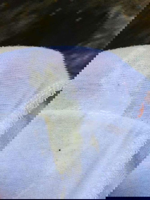 Manganganak naba ako?