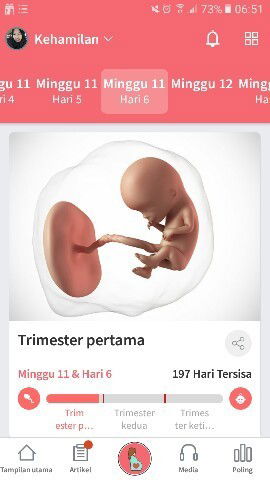 Kehamilan 11 week 6 day